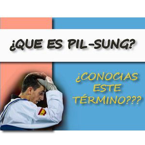 ¿ Qué es Pil-Sung ?