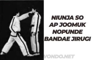 Gunnun so wi palkup bandae taeregi