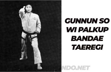 Gunnun So Wi Palkup Bandae Taerigi