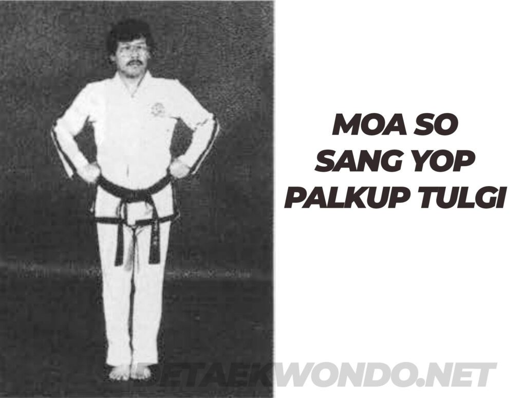 Moa So Sang Yop Palkup Tulgi Moa So Sang Yop Palkup Tulgi