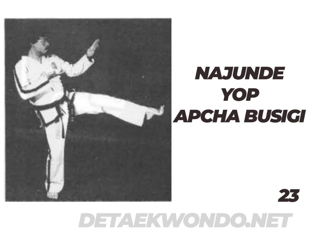Najunde Yop Apcha Busigi