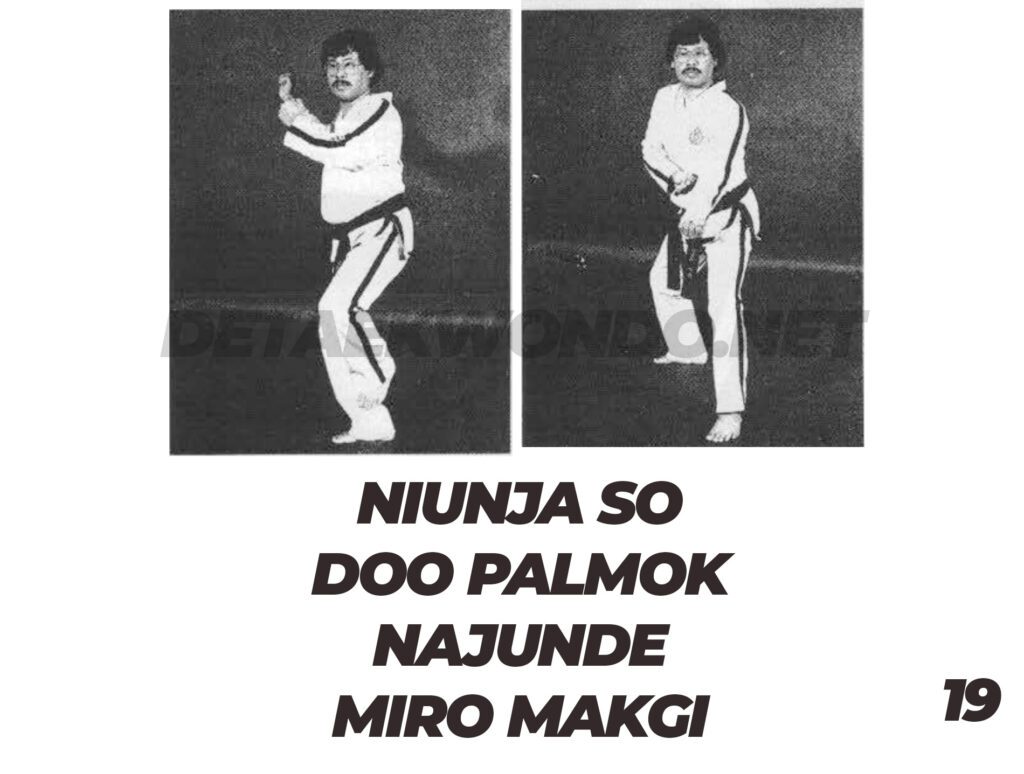 Niunja So Doo Palmok Najunde Miro Makgi Niunja So Doo Palmok Najunde Miro Makgi - Toi Gye