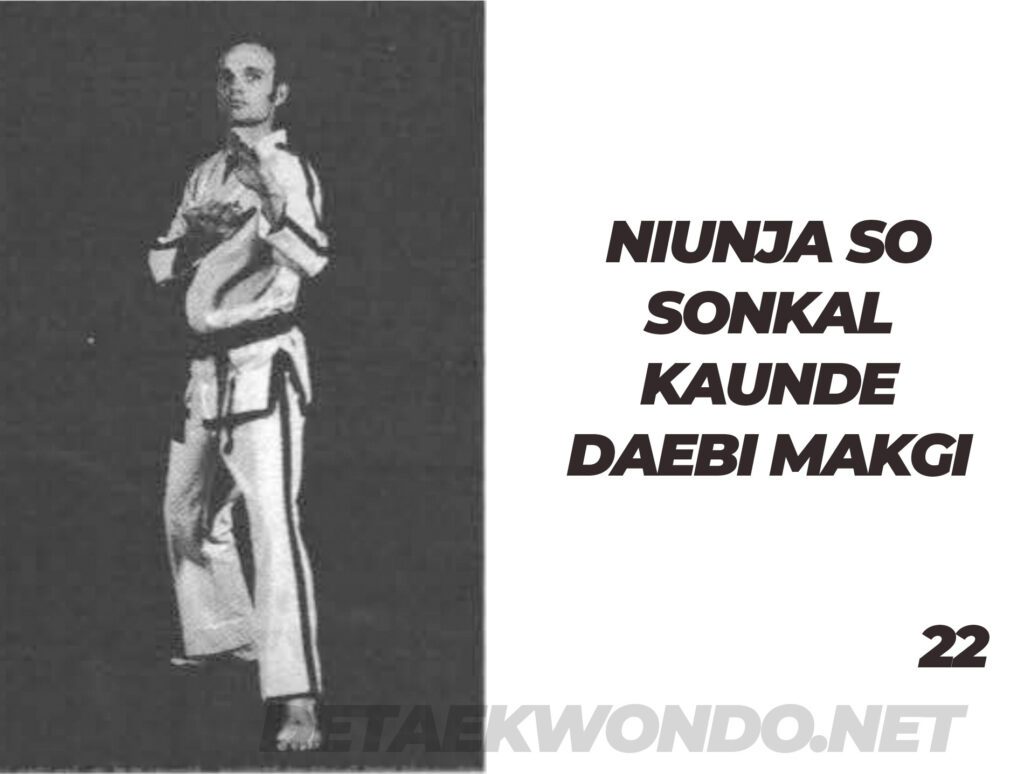 Niunja So Sonkal Daebi Makgi Niunja So Sonkal Daebi Makgi