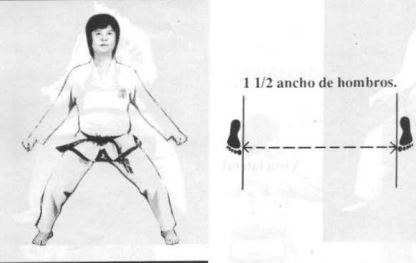 Annun sogui - posiciones en taekwondo