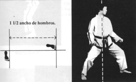 Gojung sogui -posiciones en taekwondo