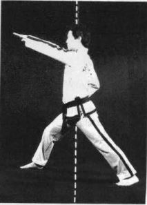 Nachuo Sogui - Posición de caminar baja